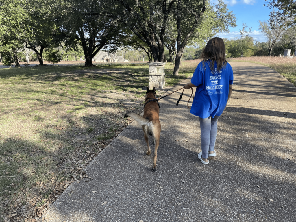 Waco Texas Dog Trainer