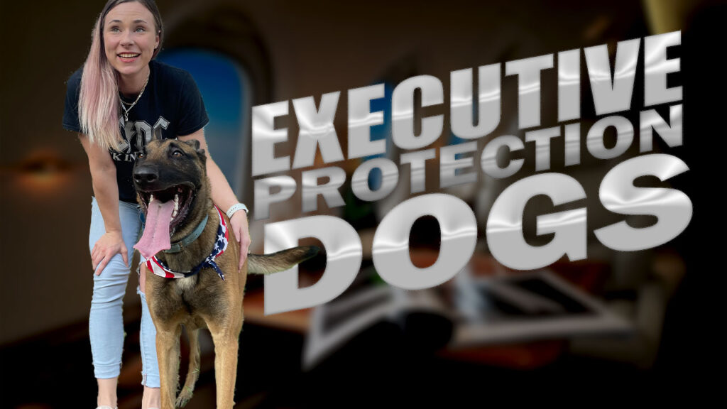 Protection Dogs For Sale In Texas